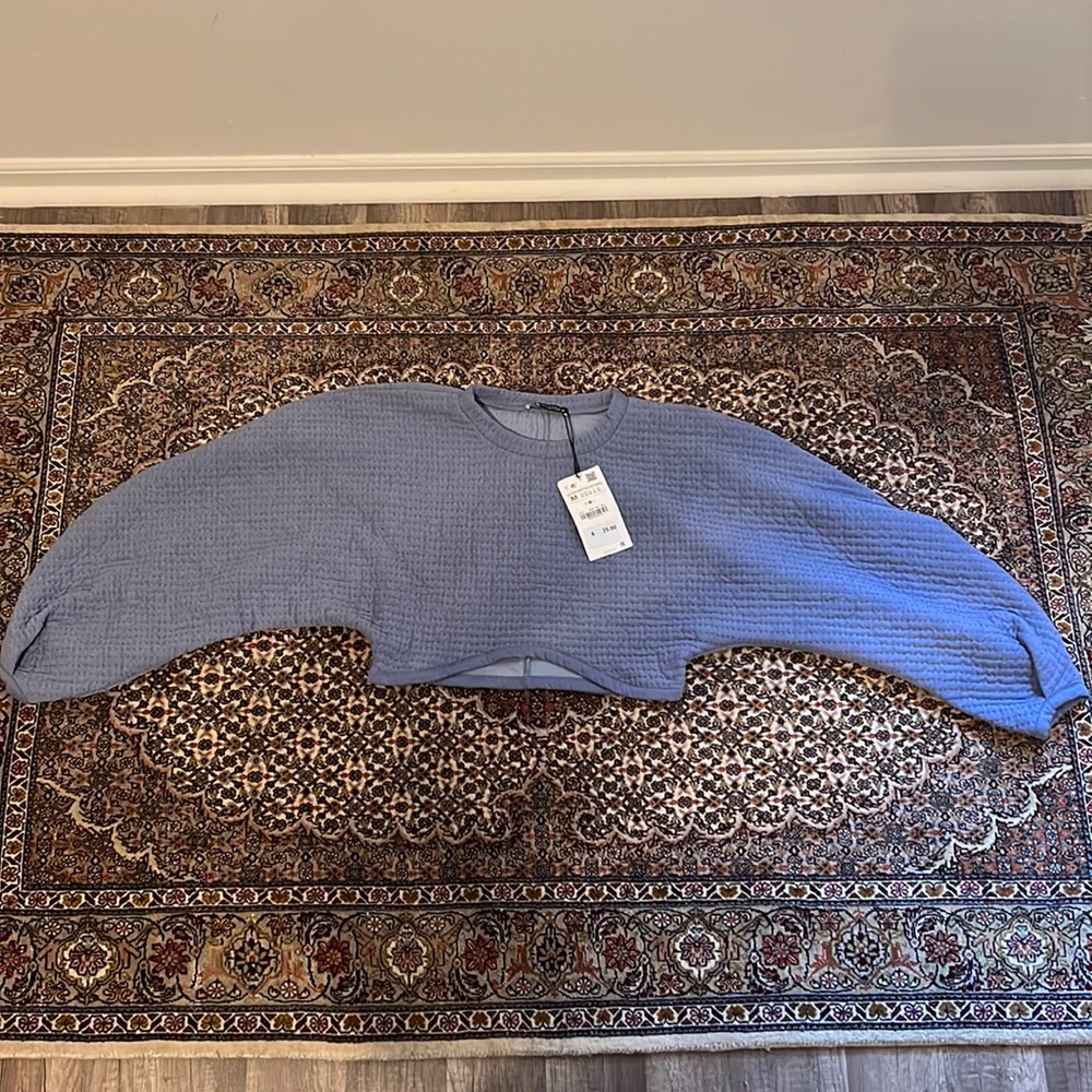 Zara Cropped top